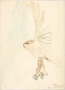 Eagle