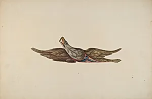 Eagle