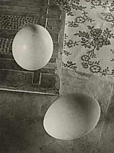 Egg on End