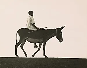 Egypt