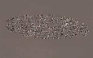Enmeshed II