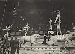Equestrians, Circus, New York
