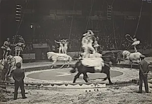 Equestrians, Circus, New York