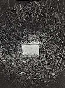 Erinnerungsspur--Statische Vibration (Memory's Trace--Static Vibration)