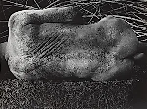 Erinnerungsspur--Statische Vibration (Memory's Trace--Static Vibration)