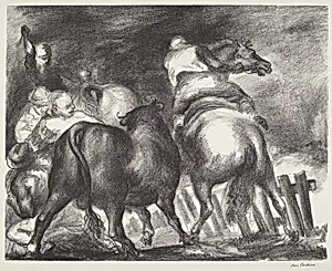 Escaped Bull