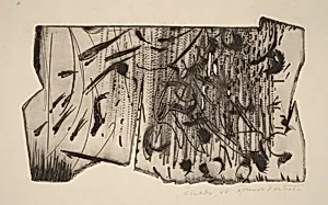 Experimental Plate #2