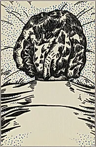 False Image Postcards