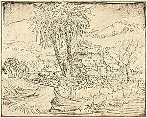 Farm, Camp de Mar