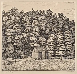 Farm Near Southbury