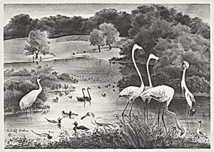 Feathered Friends