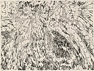 Feathered Passage