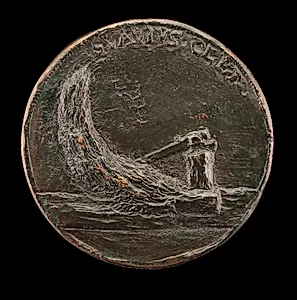 Felled Cypress Tree [reverse]