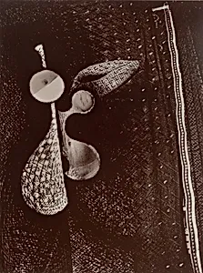 Femme-Mandoline (Woman-Mandolin), from Transmutations