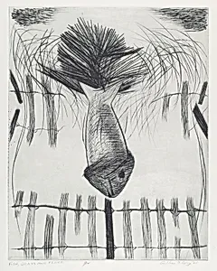 Fish, Grass and Fence