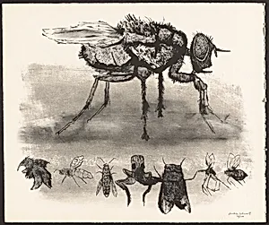 Flies and Bees