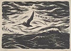 Flight