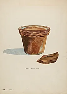 Flower Pot