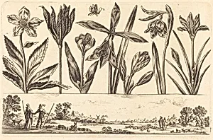 Flower Print no.4