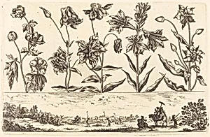 Flower Print no.6