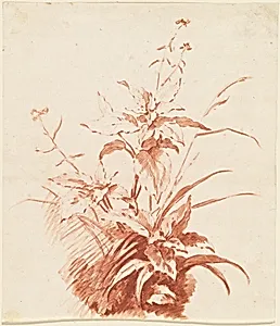 Flowering Plant with Grass