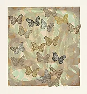 Fly