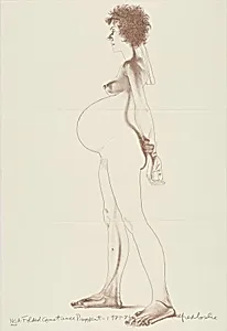Folded Constance Pregnant