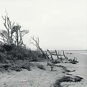Folly Beach, South Carolina, 1999