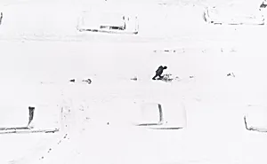 Footsteps, Harlem