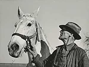 Foreman on Chicken Ranch, Sonoma County, California