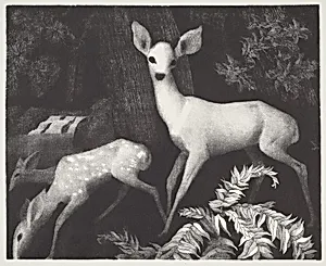 Forest Folk