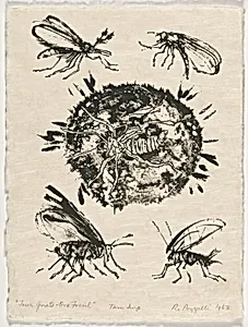 Four Gnats - One Fossil from Bugs
