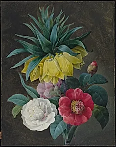 Four Peonies and a Crown Imperial by Pierre Joseph Redouté