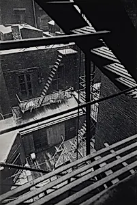 From Back Window, 133 West 22nd Street, New York