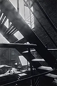 From Back Window, 133 West 22nd Street, New York