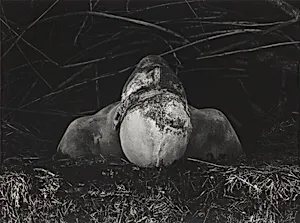 From "Erinnerungsspur" (Memory's Trace)