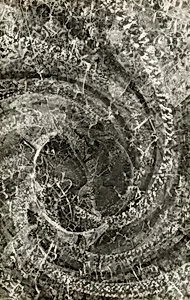 From the book "Photography Sees the Surface"