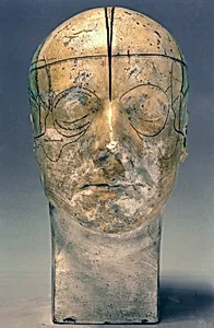 Gall's Bust IV, A Study in Winter
