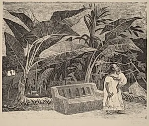 Garden of Hecelchácan