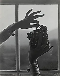 Georgia O'Keeffe—Hands and Grapes by Alfred Stieglitz