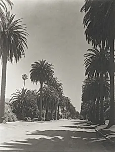 Georgina, Santa Monica