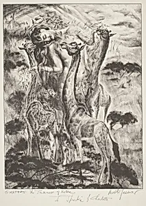 Giraffes: The Tenderness of Nature