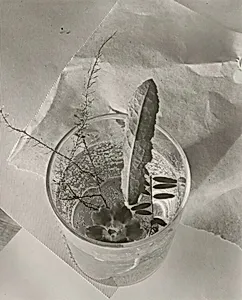 Glass with Leaf