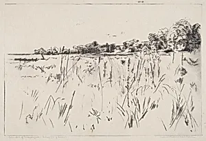 Glimpse of the Manasquan River