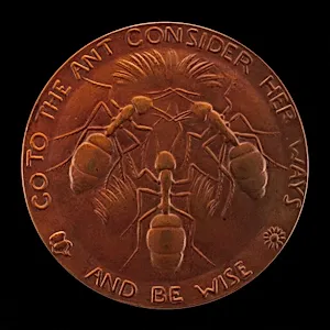 Go to the Ant, Consider Her Ways and be Wise [reverse]