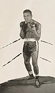 Golden Glove Boxer