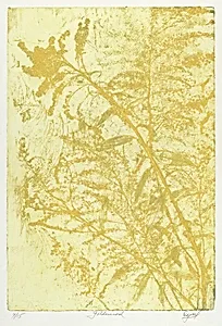 Goldenrod
