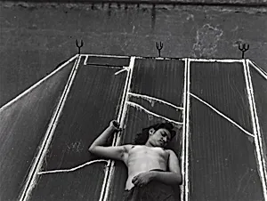 Gorrión, Claro (Skylight)