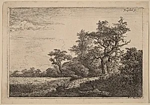 Grain Field at the Edge of a Wood (Corn Field) by Jacob van Ruisdael