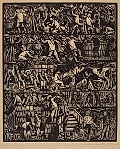 Grape Harvesters